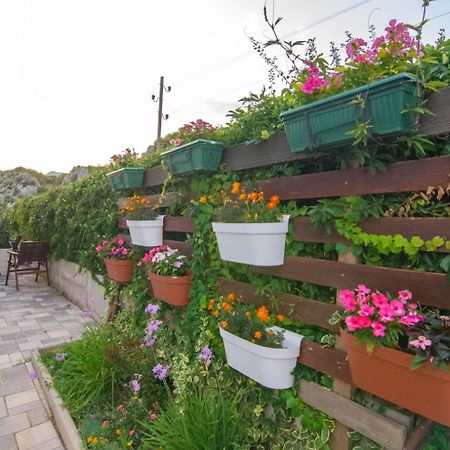 Village Holiday Apartman With Heated Pool Maslina Kostanje 外观 照片